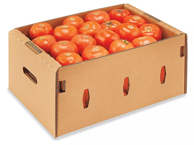 Caja Jitomate Saladet