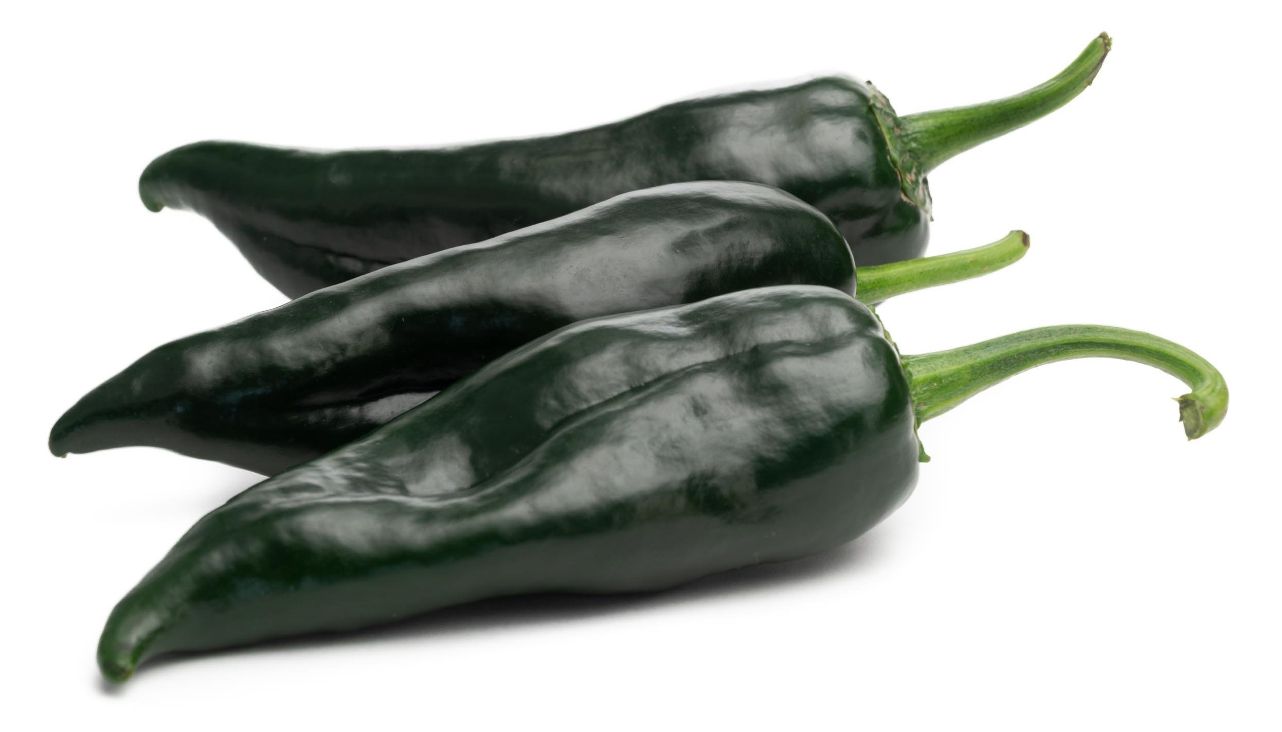 Chile Poblano
